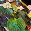 건강한무한리필밥상 | 🥬고양 덕양구 맛집 추천｜매화쌈밥 고양점🍚 쌈채소 무한리필로 건강한 밥상!
