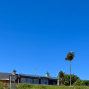 고니민박 이미지