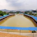 향수사계절낚시터 이미지