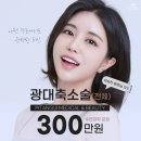 삐땅기의원 이미지