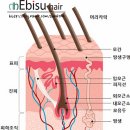 머리카락미용실 - 종로구 | 머리카락미용실