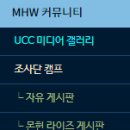 라이즈월드 이미지