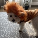 크로스핏 한옥(중화산센터) 이미지