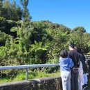 유학농장 이미지