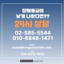 법무법인송천