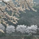 충주호당의원 | 인슐린펌프 치료 후 행복하다는 환자 사례
