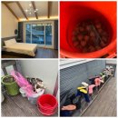 지에스25 옥길골드점 | 태안 펜션 몽산포 골드오션펜션 해루질 장비 빌려주는 펜션