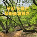 도음산 유아숲체험원 이미지