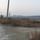 둔봉마을 Daum카페