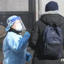하버드텔
