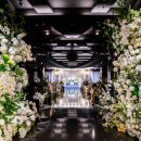 더화이트 이미지