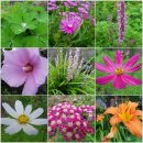 고성버드리민박 이미지