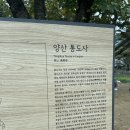 대주미디어 | 양산축제 부산근교 가볼만한곳 통도사 미디어아트