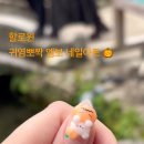 치즈네일(cheese nail)