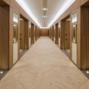 델피노 I 이미지