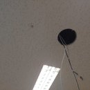 애플트리컴퍼니