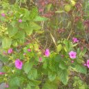 당곡고등학교 이미지