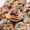 신선