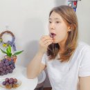 당골농원 이미지