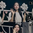 예인 이미지