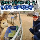 카페도가 | 남양주 알파카와 공룡보러 가는 곳 한강뷰 카페도 있는 미호박물관 생생 후기