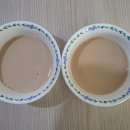 페따미꼬 이미지