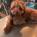 대학로 85(경대북문) 이미지