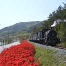 곡성-241 이미지