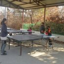 평화강변수목캠핑장 이미지