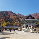 용문사 Daum카페