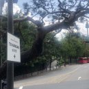 호텔 프랑소와 이미지