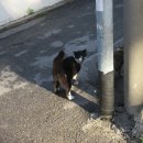 텃밭식당 이미지