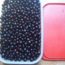 상진농장 이미지