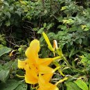 황점주차장 이미지