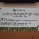 김수빈헤어라인