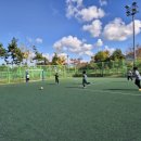 천무 합기도 이미지