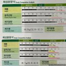 버서커 P.T | 나주 빛가람동 다이어트 . 나주다이어트 . 나주피티