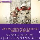 (유)피피지코리아 | 애착인형 수선 강아지 인형 수선 유퀴즈 인형병원 수선 후기🐶