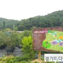김흥기농장 네이버블로그