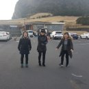 제주로여행유