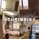 별담민박 | 애월숙소) 추천 모음 &amp; 한달살기 숙소 구하기 :: 제주기역, NW702, 별담스테이, 사랑펜션, 제주에산다