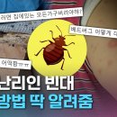 질병관리청 관계자 "빈대는 질병을 매개하는 곤충 아니다. 개인이 방제해야 할 사안" 이미지