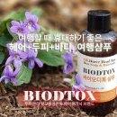 풍도맛집민박 이미지