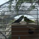 모아민박 이미지