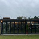 꼴미 | 안성 화덕피자 맛집 아이와 꽃뫼카페휴게소 연꽃밭 잉어밥주기 정원카페