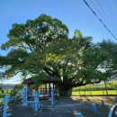 석화리경로당 이미지