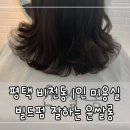 윤쌀롱살롱&붙임머리