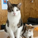 미수광바위 공중화장실 | 8월 일상(2) (나트랑 무이네 3박 5일, 부산 광안리 이어도 횟집, 카페 인차저, 통영 바다담, 거제...