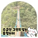 여주-1044 | 지금 날씨면 원주 가볼만한곳 추천하고 싶은 소금산 그랜드밸리 출렁다리 | 주차 편한 주차장 자리