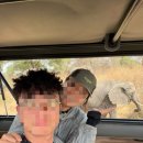 들길펜션 | 탄자니아 신혼여행 4. 수리카타 사파리 투어 후기, suricata boma lodge